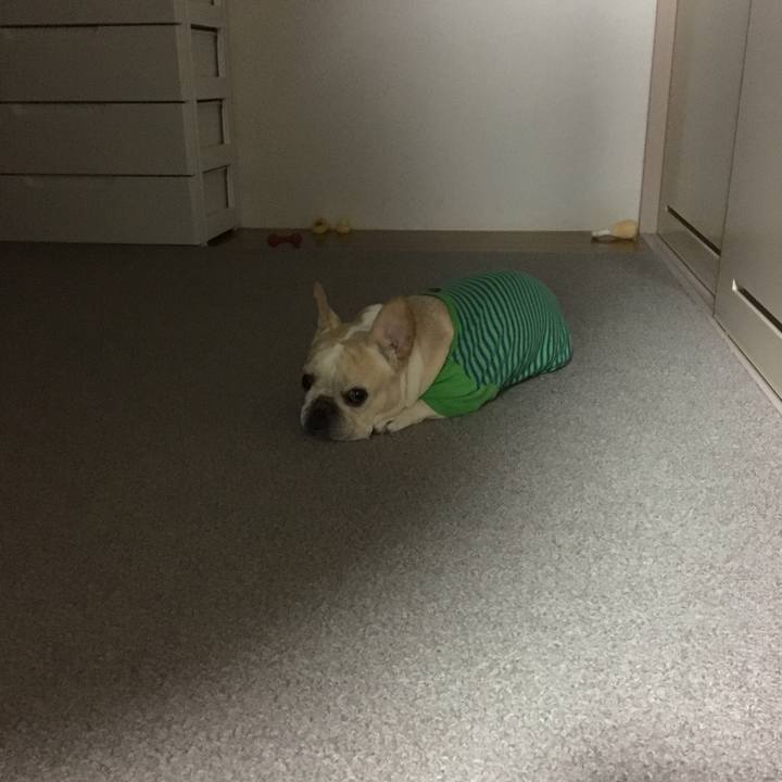 2a733136 fece 447d a811 510370e9d089 1527418864177