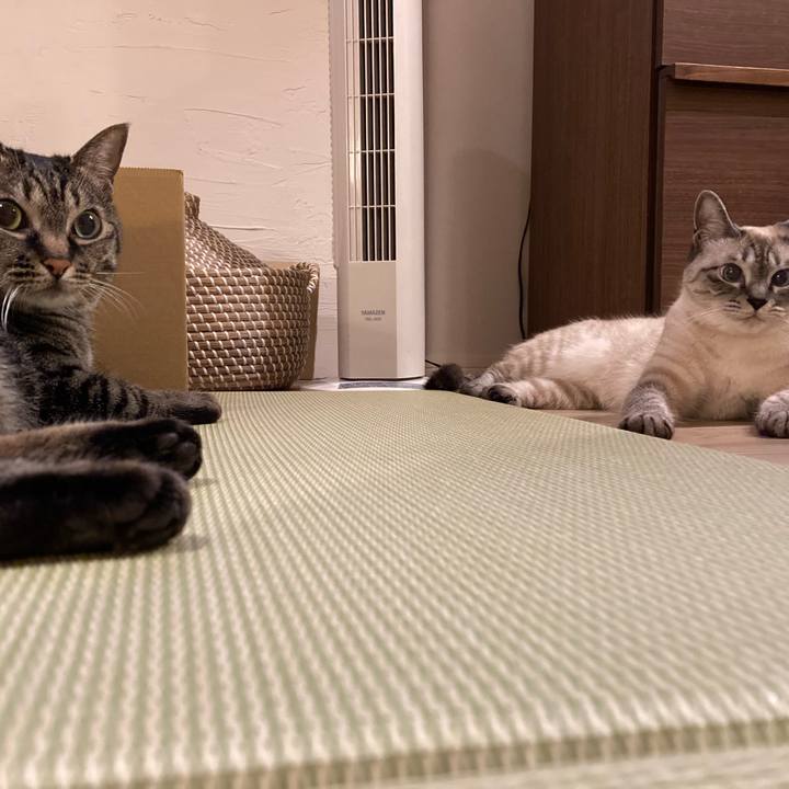 2a733c07 79aa 4d5d a06a d107188767e7 1624021233272