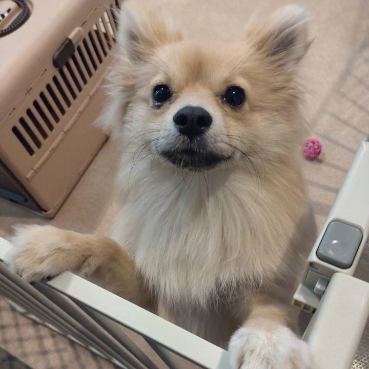 2a7345b2 fc87 4524 a279 783a9a6d4718 1737253588278