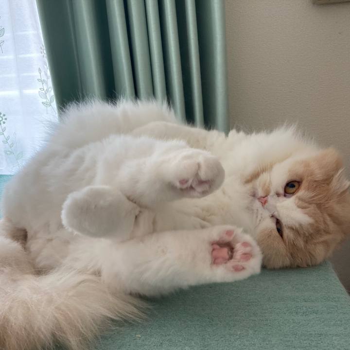 2a73601d 00de 479d 9459 7fa8b7f8cdce 1630966656305