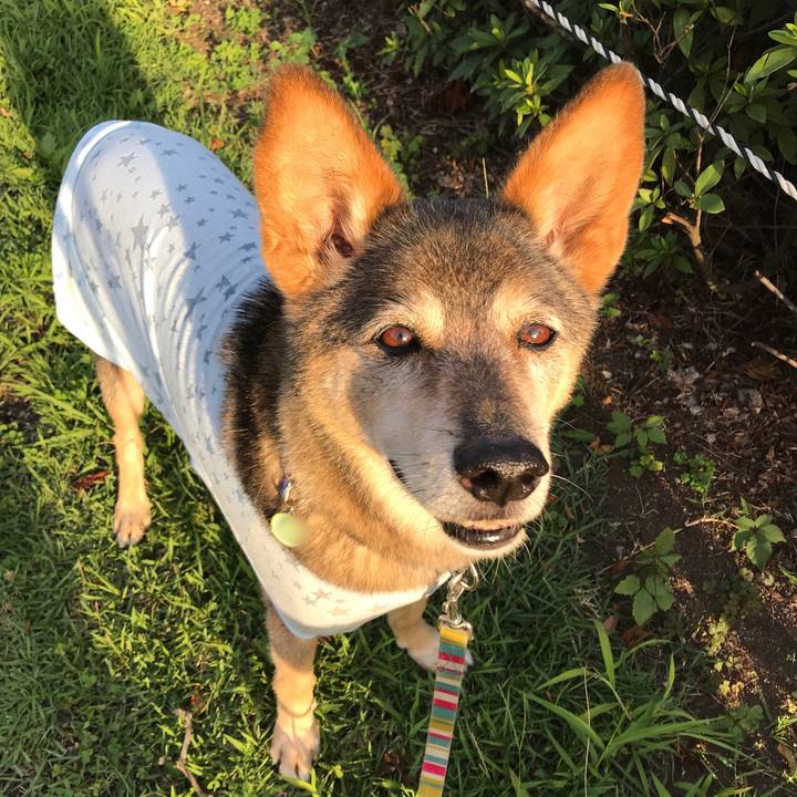 2a73818e 57a8 45ab a2b7 8f5334f14fda 1534583597465