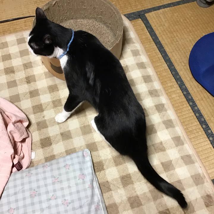 2a73bb03 6a20 4134 b6c5 4ebff4d2510b 1739878783661