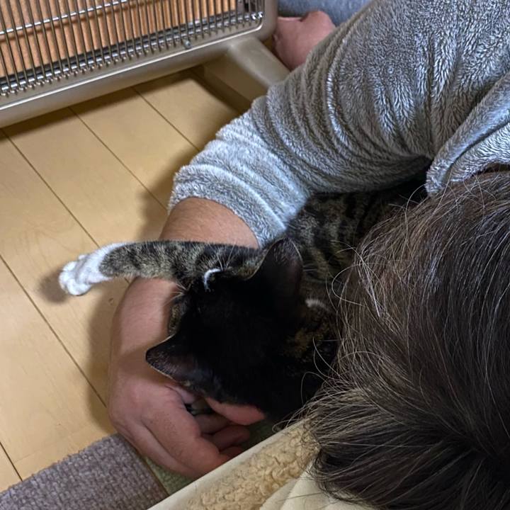 2a73e171 ce36 4069 939b 87f8b14b68fe 1675651434992