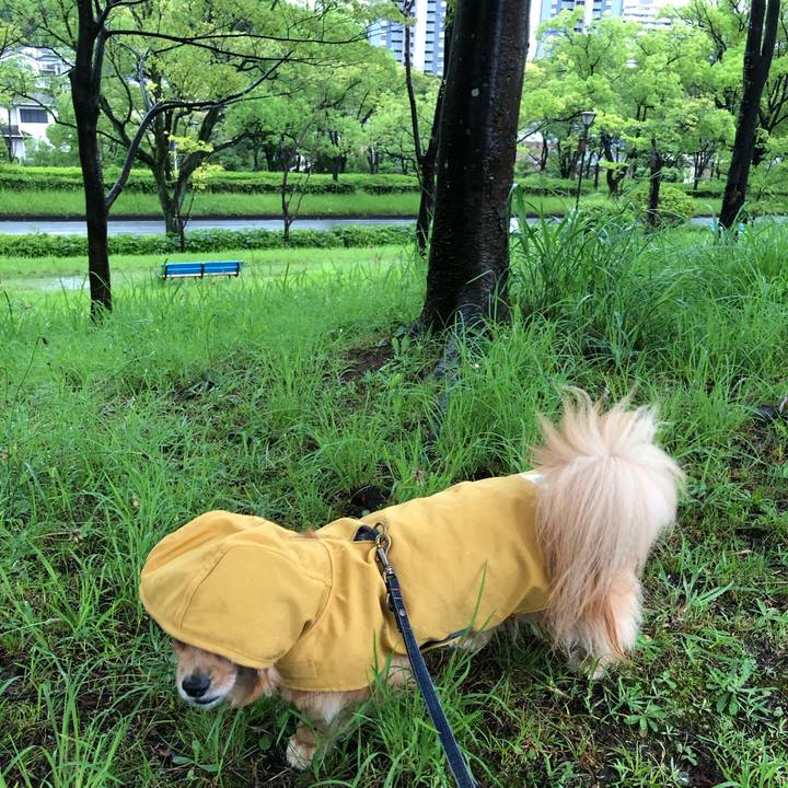 2a73f4ff 7b23 4afc 9cc2 e2ee08efc1c3 1562189570154