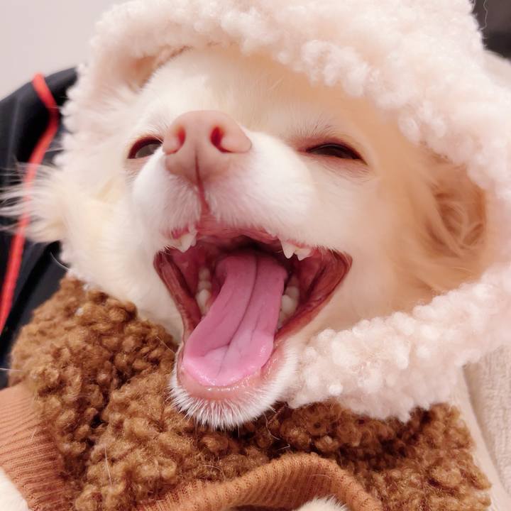 2a743514 0a79 452e a6df af514bdce9d9 1702044383511