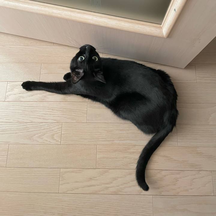 2a744b4a 7081 41bc ac6e 4057deece1ad 1715416156109