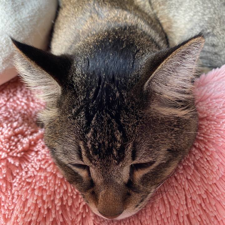 2a746159 e5a9 46ef 972c 1cbe60d91285 1581234407729