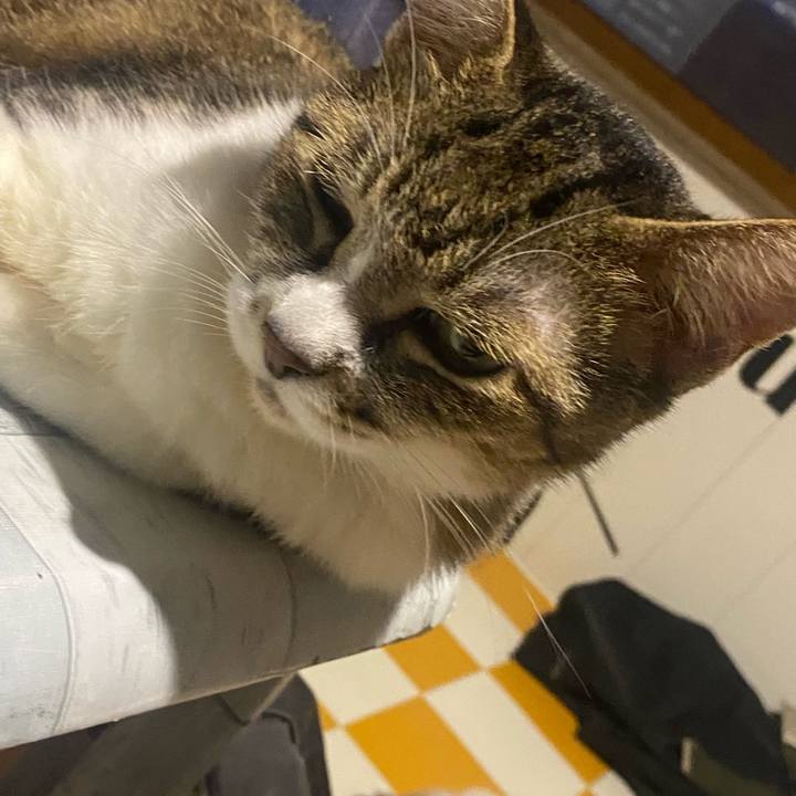 2a7482a7 ef5b 46e0 acc9 59cf2f72f9d6 1693255950779