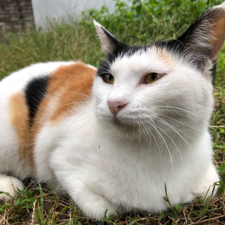 2a74edbd 771b 4300 9119 00a338341022 1601071791960