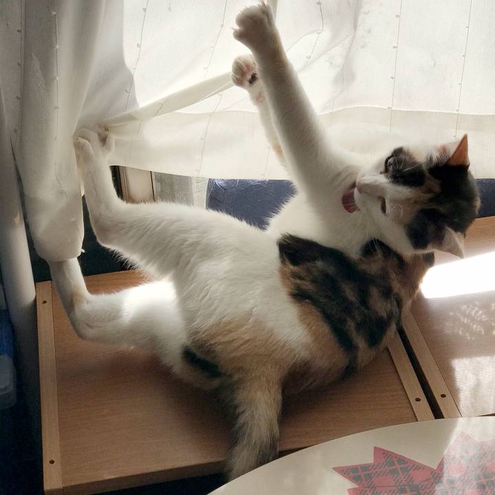 2a74f723 41bb 4d61 84cb 90b6ab61ac45 1534121428259