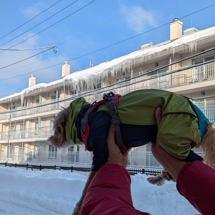 2a751755 89a7 4c44 9c12 cc22dda74f1e 1768711063845