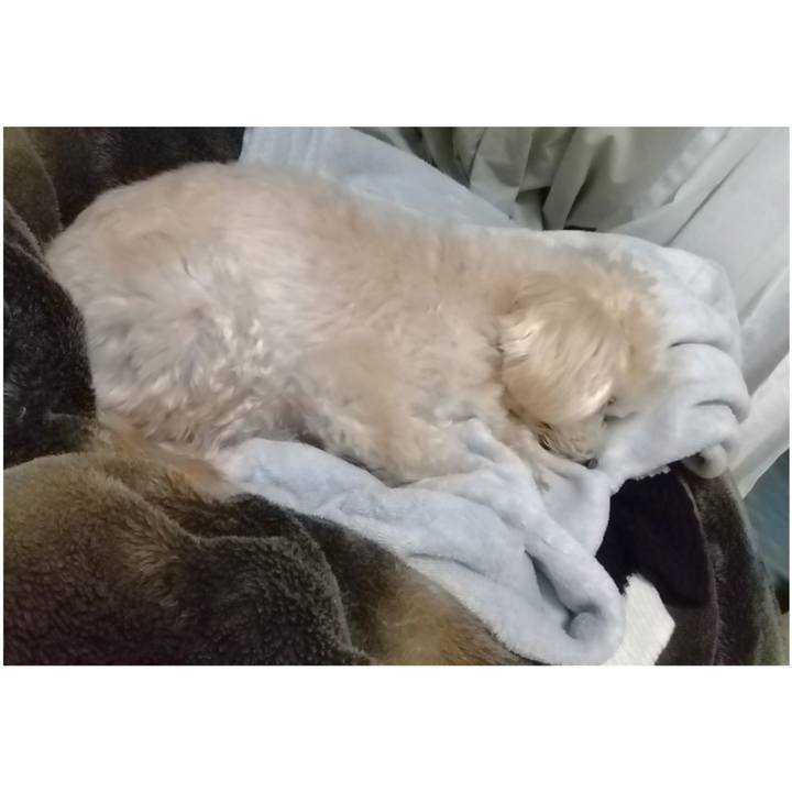 2a753f23 508f 498f a775 47ae43bad27b 1678018549128