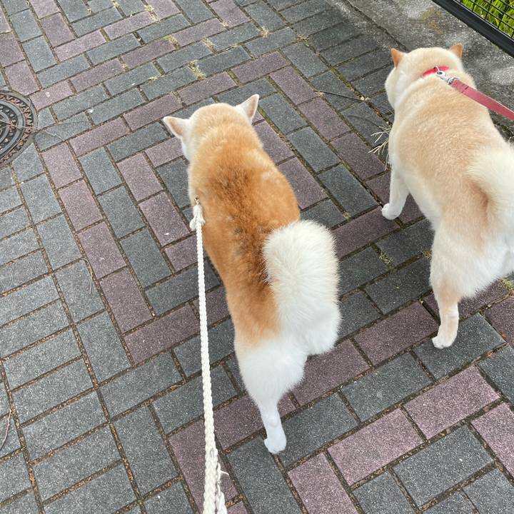 2a759163 9e90 4872 a4e0 a807be92192b 1663707324799