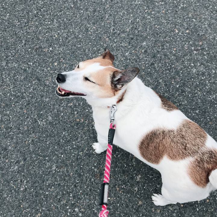 2a75a3d5 5b14 405e ac9d cf8961f0e144 1556547555017