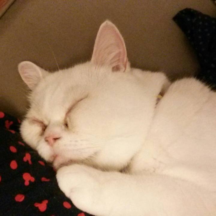 2a75b3a6 367a 4670 aa1b da62b6b26dbb 1538293462915