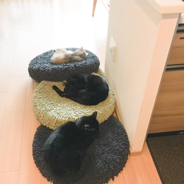 2a75bd2e d82b 476c b191 526eab662f60 1538193763698