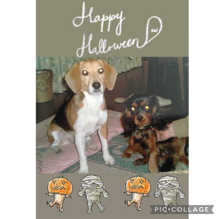 2a75bf1f 5fa3 420e a828 58883a3d25c3 1635662310739