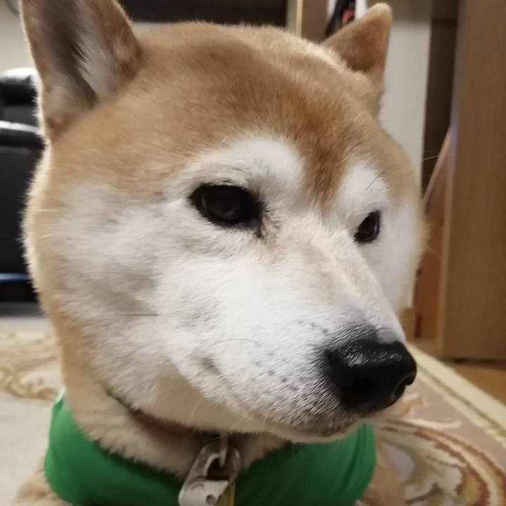 2a75c29c b497 4904 b160 3bcf9a97efa3 1585994396121