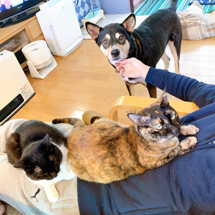 2a75d9ee 1f20 42e8 a2af 213c4c5e877e 1581384925289