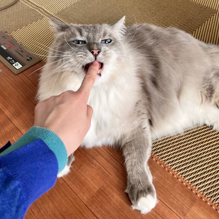 2a75f6c4 26ae 48f3 b212 54cd9a1a5569 1728995026733