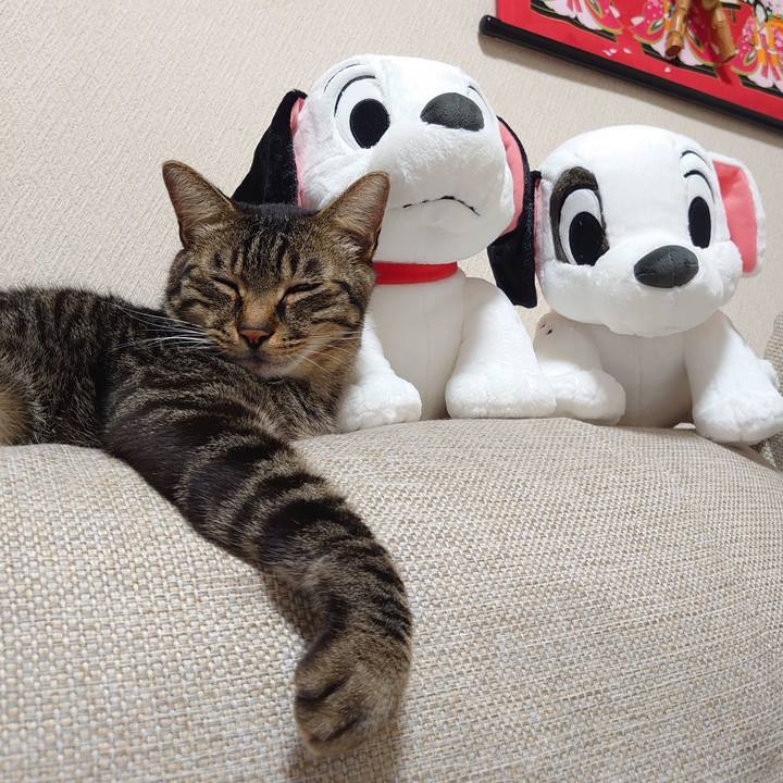 2a75f865 7b18 4c09 82e8 344ba69233d9 1628589806199