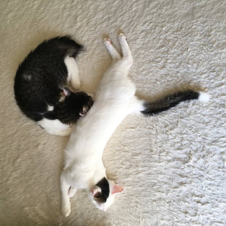 2a7612f1 c9b2 4795 853c dd0afde07312 1669070245672