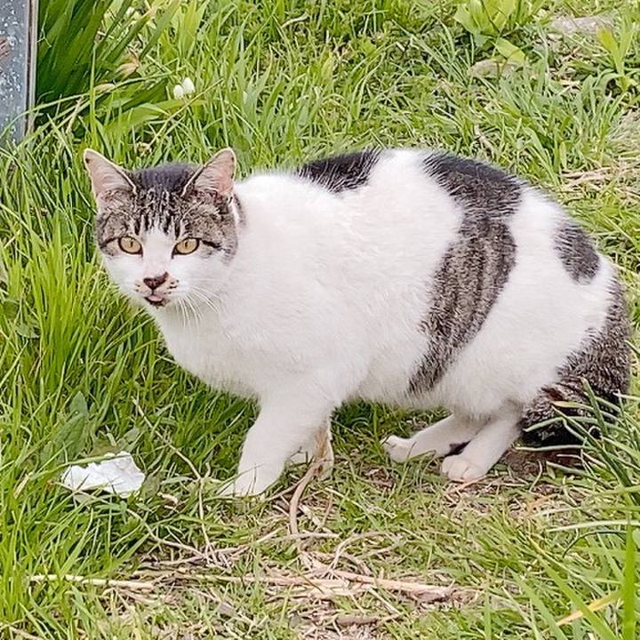 2a76269b b459 450b bab6 88f2cd0956ea 1616299713009