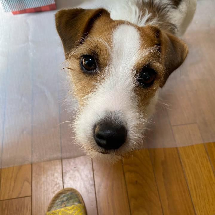 2a766509 7954 444c 8ce4 0ea54873dcf2 1699062915376