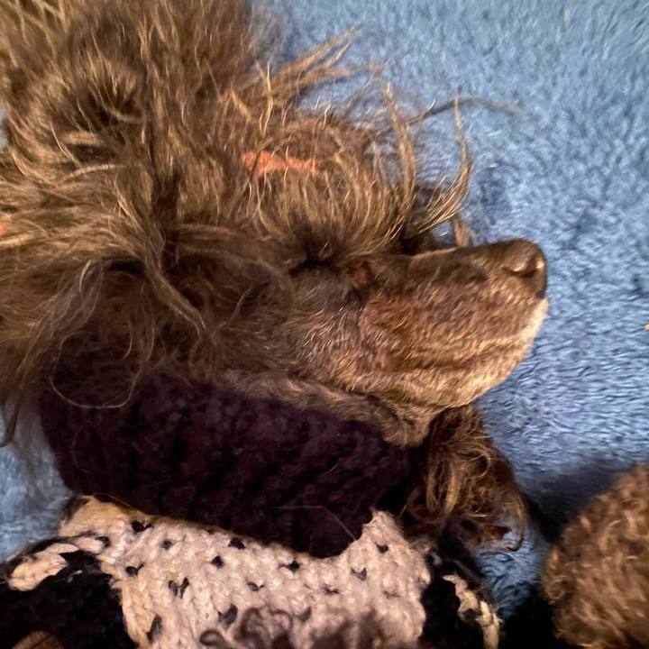 2a767111 e9f4 46aa 993f 85856691e7a8 1674394509578