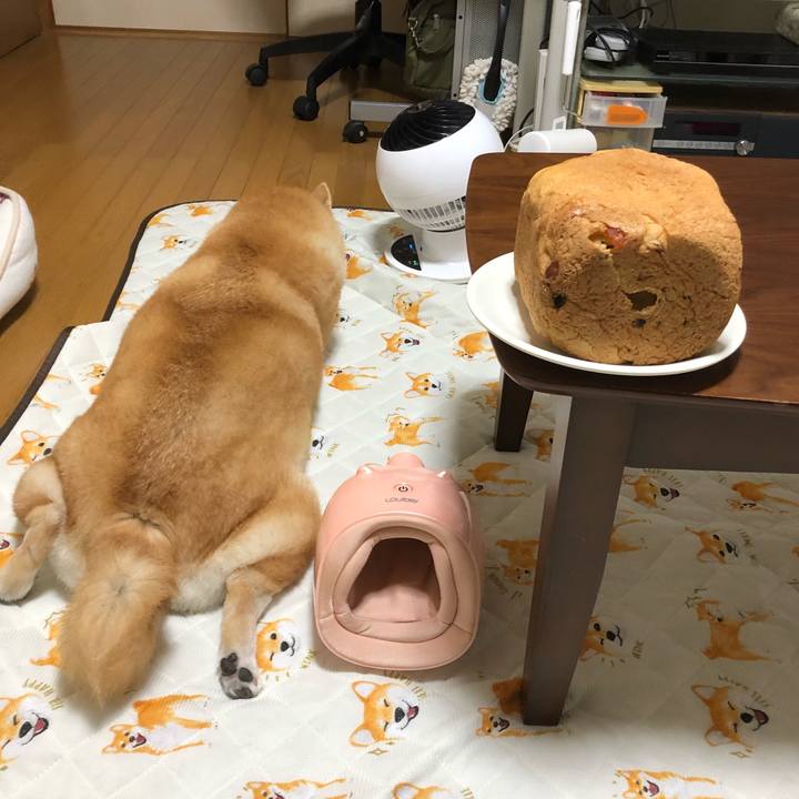 2a769701 7ff6 490e a19a 8b552c8901a2 1566956245731