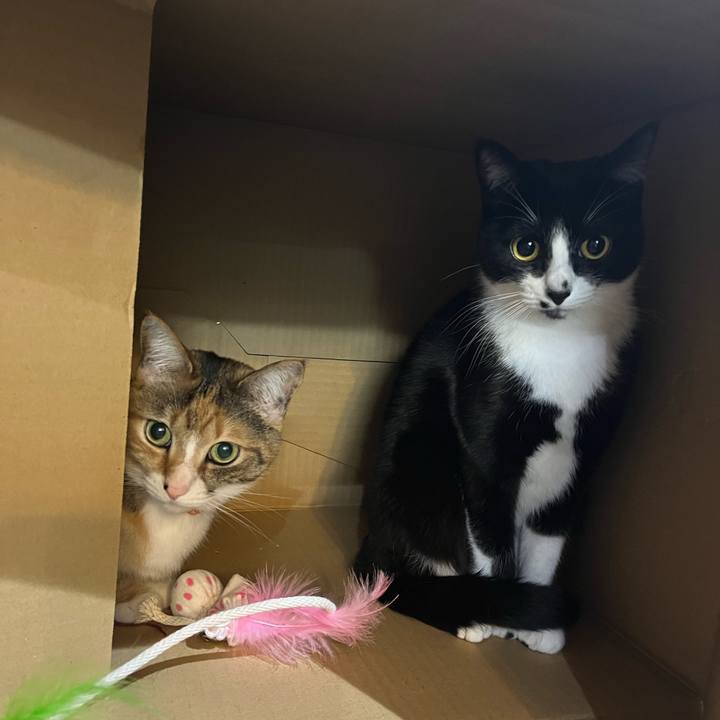 2a76fa3f 681c 4b91 8573 a1084c6c8c7b 1679054954688