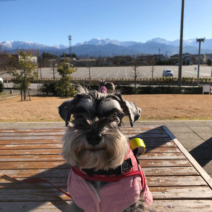 2a774d65 0745 4544 9d6e 76c2235332f2 1577597232044