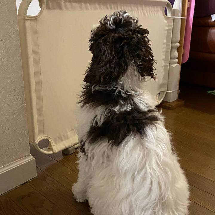 2a7767c6 41dd 4535 81e8 1b0214c29ff3 1613476453521