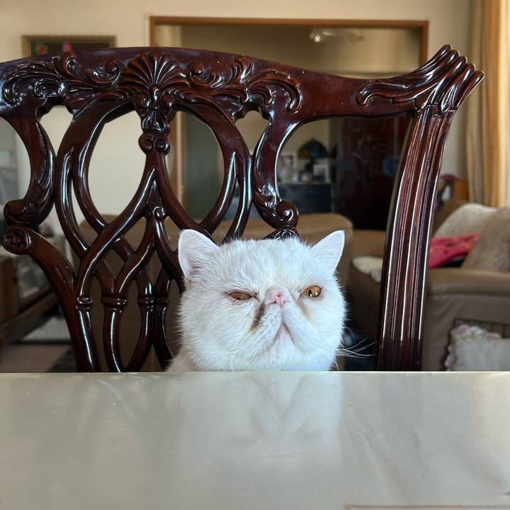 2a776bb1 df47 4338 ad58 1249f2b6e04b 1766897537523