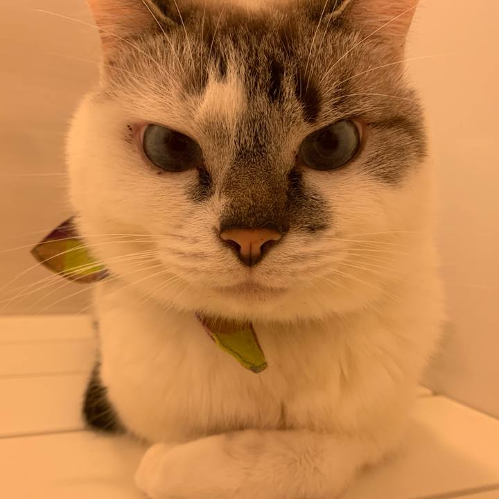 2a777ee5 c835 4495 a391 be563ffa444c 1564485632511