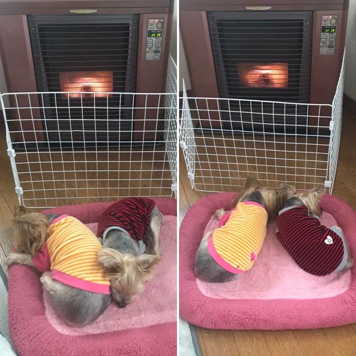 2a7784fe 38fc 4796 8990 3feff186fae0 1604482514043