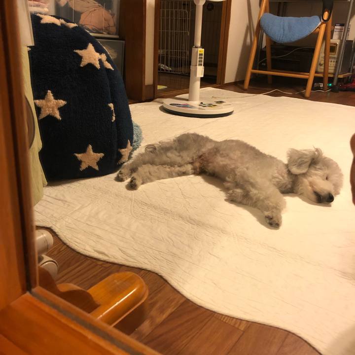 2a7792af bd53 42bd aece 349a50c9fc99 1628409445059