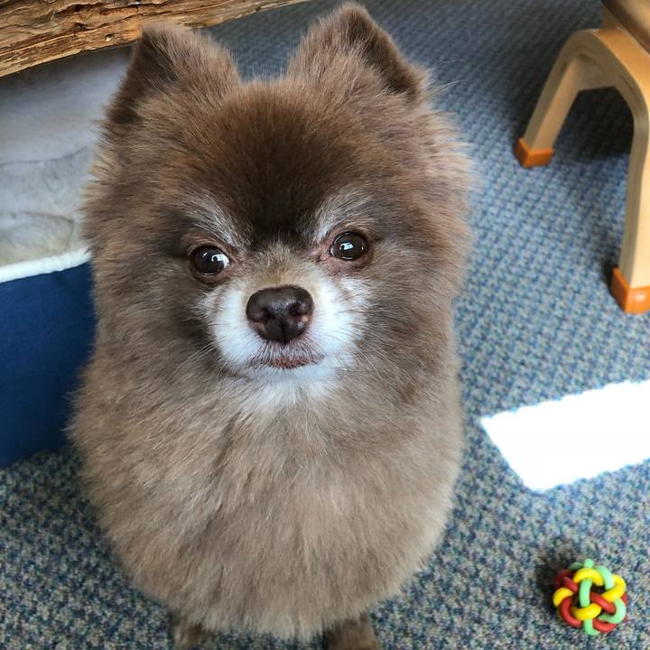 2a779abd c26a 49a1 ad7b 1f28d1373f8c 1552011823896