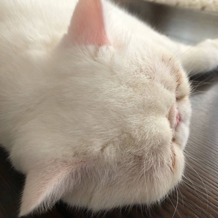 2a77adf0 7bf0 4299 bb8d fdbc40687569 1627130356419