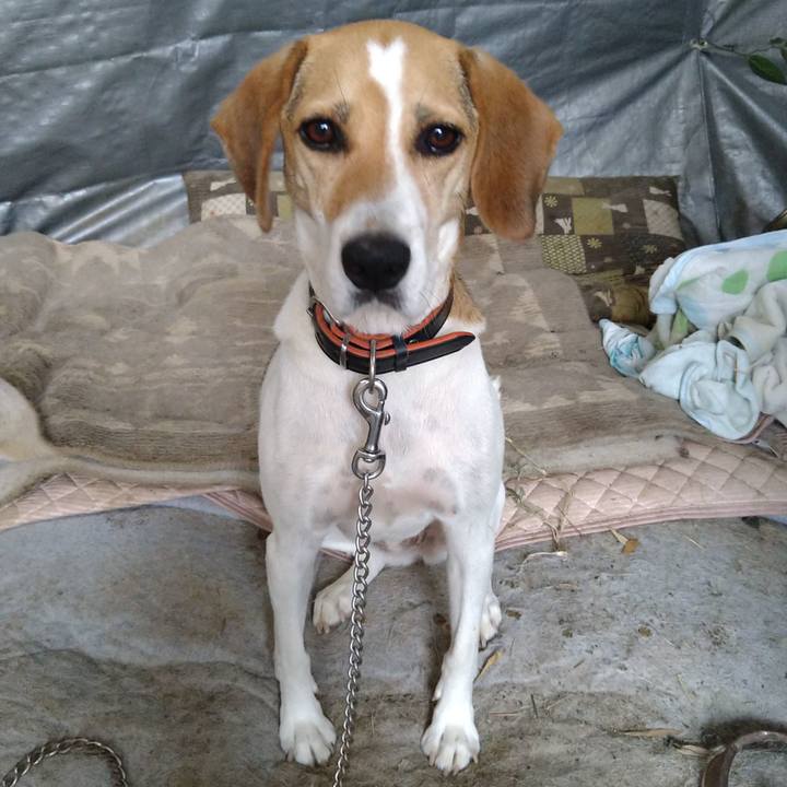 2a77c6b8 d640 4613 b069 b06d70263b71 1628841809225