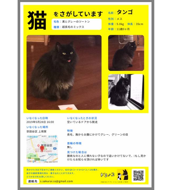 2a780f61 b596 49c1 ac45 436f61fb0d5a 1559889714229