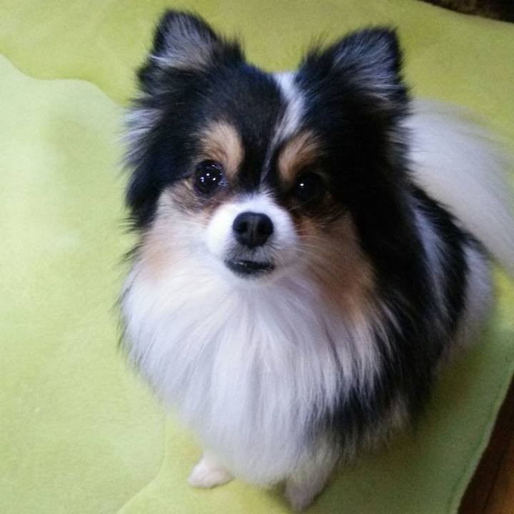 2a781465 db99 4e43 9cd7 b84a1f239366 1516748870902