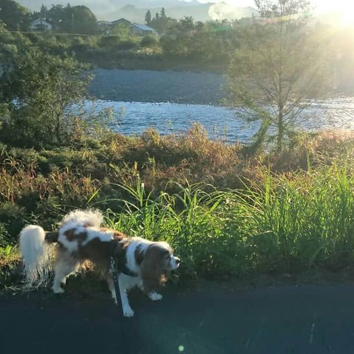 2a782e75 cb52 4ea3 a2f5 d8c83561e01a 1538776958139