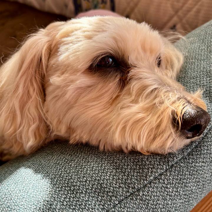 2a78439d 085a 49c1 b52f 49260ea6dc0b 1771058912081