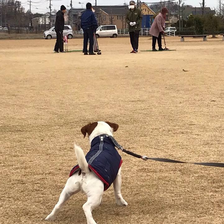 2a78553c 7cc4 4f06 9ee6 e7504874d4df 1513413121185