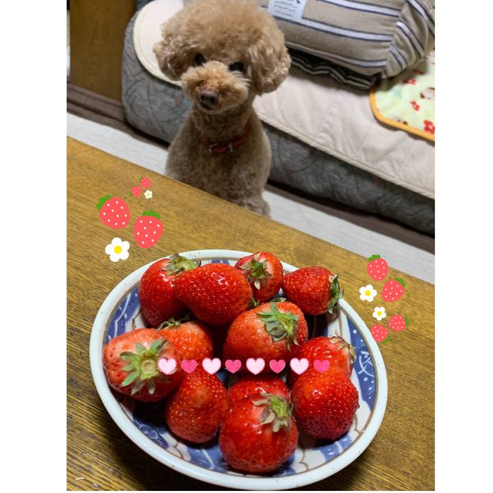 2a78562d 997b 486d a1e9 759770593ce5 1549883776904