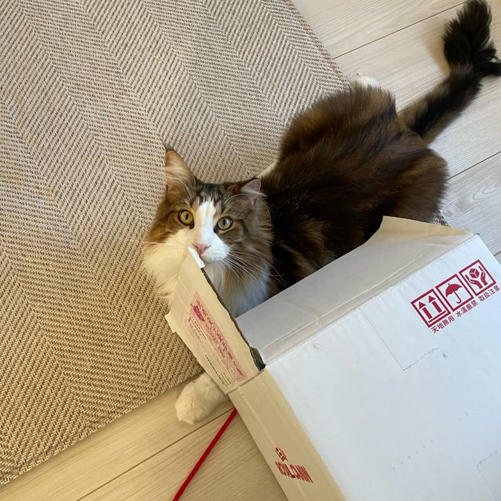 2a786886 7f3e 4684 9cd2 40283e46bc2b 1666217274335