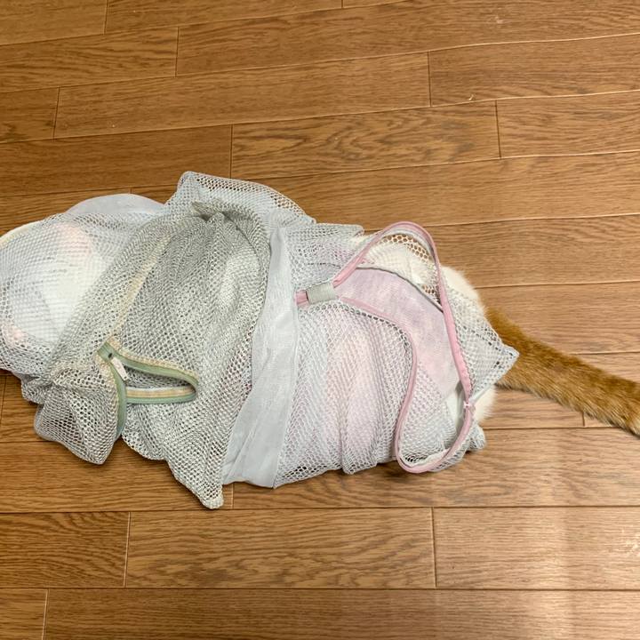 2a7872bd bcd8 4464 bbab 480423e72748 1567398015957