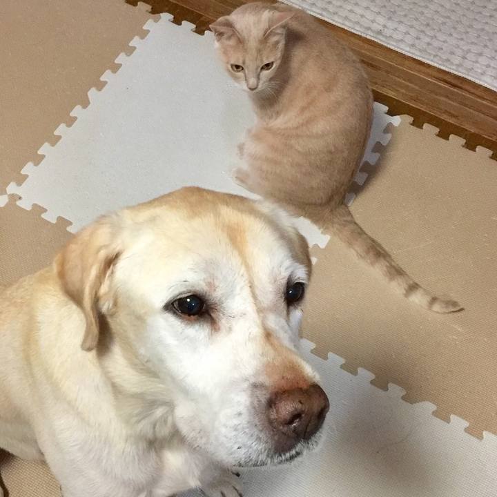 2a78a462 96c7 4924 9ead 9e74dff17829 1548721369110