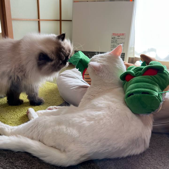 2a78d2c5 31da 43a8 906c f84c8d74b8aa 1704100828113